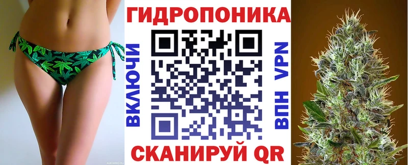 А ПВП Пустошка
