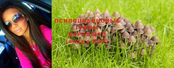 метадон Богородицк